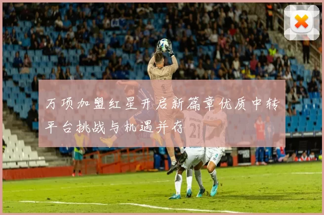 万项加盟红星开启新篇章优质中转平台挑战与机遇并存
